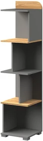 Raft typ CA5 Caryl (deschis grafit + alb lucios + stejar nash). 1040645
