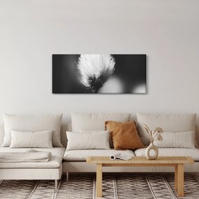 Tablou - Coțofană neagră și albă (120x50 cm)