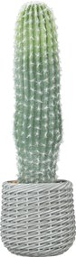 HOMCOM Cactus artificial 66 cm, plantă artificială decorativă cu ghiveci pentru decor interior, verde | Aosom Romania