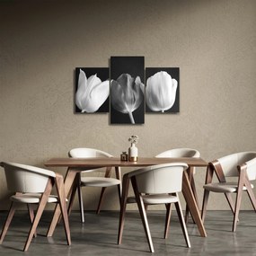 Tablou - Lalele alb negre (90x60 cm)