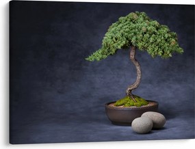 Tablou - Bonsai (70x50 cm)