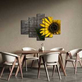 Tablou - Floare de floarea soarelui (150x105 cm)