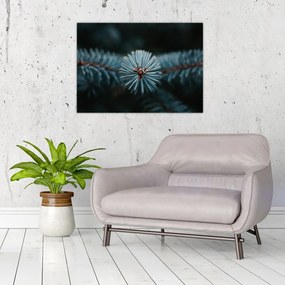 Tablou -Crenguțe ale unui conifer (70x50 cm)