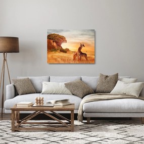 Tablou pe sticlă Girafe în Africa (70x50 cm)