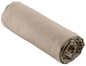 Cearceaf maro deschis din bumbac percal cu elastic 160x200 cm Percaline – douceur d'intérieur