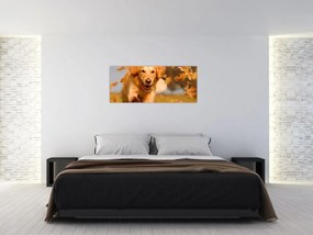 Tablou - Golden Retriever (120x50 cm)