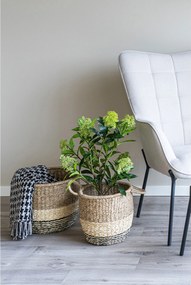 Copac Stalina (verde). Promo -9%. 1147558