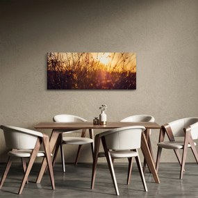 Tablou - Câmp la apus de soare (120x50 cm)