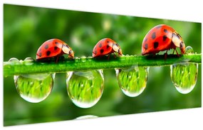 Tablou - Soarele celor șapte sori (120x50 cm)