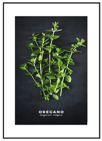 Poster cu ramă 50x70 cm Oregano – Styler