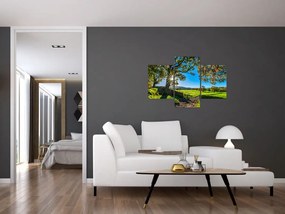 Tablou Privire la câmp (90x60 cm)