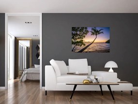 Tablou cu palmier pe plajă (90x60 cm)