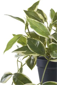 Plantă artificială Waxflower, verde 33 cm