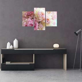 Tablou - Bujori (90x60 cm)