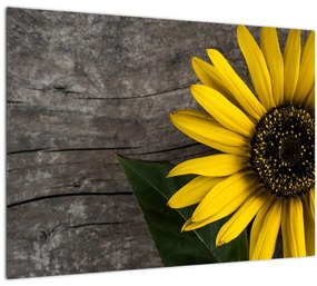 Tablou pe sticlă - Floare de floarea soarelui (70x50 cm)