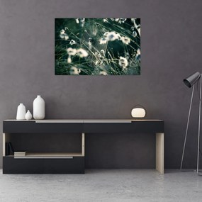 Tablou - Pânză de păianjen (90x60 cm)