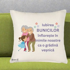 Cadou pentru Bunici - Perna Personalizata Bunicii Iubirea Infloreste Bunici cu Nepoata Colorat, 40x40 cm, Crem Reliefat, Husa Detasabila, Perna Inclusa, BEKZ®