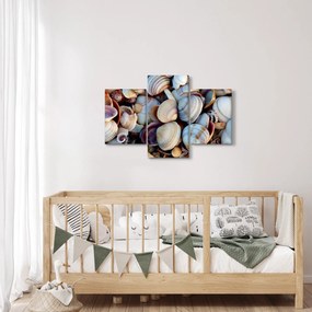 tablou cu scoici (90x60 cm)