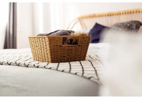 Coș depozitare Compactor Parejo, maro deschis