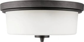 Westinghouse 6325140 - Plafonieră CEDRIC 2xE27/40W/230V Ø 33 cm