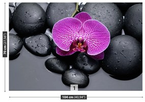 Fototapet Orchid Stones