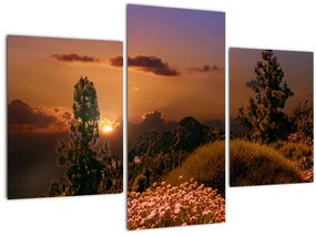 Tablou naturii cu apus de soare (90x60 cm)