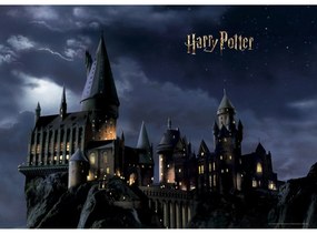 Foto-tapet copii Harry Potter 252 x 182 cm, 4 piese