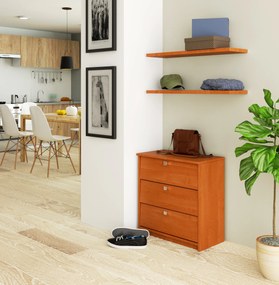 Pantofar Mansur (arin). 1069009