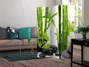 Paravan - Bamboos and Stones [Room Dividers]