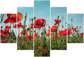 Tablou - Pe câmpul cu maci (150x105 cm)