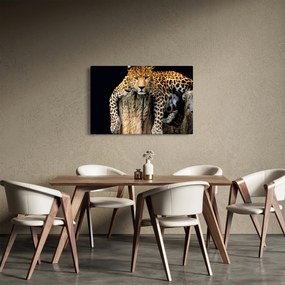 Tablou - Ghepard (90x60 cm)