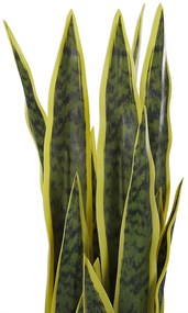 Plantă artificială 63 cm SAPLE. 1022764