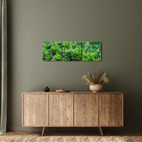 Tablou - Aloe (cu ceas) (90x30 cm)