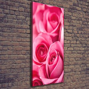 Tablou canvas Trandafiri roz