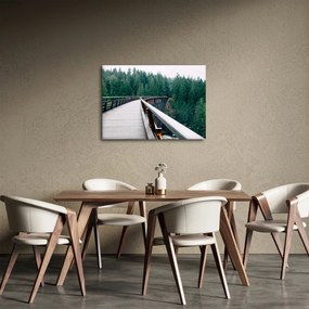 Tablou - Pod spre vârfurile copacilor (70x50 cm)