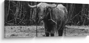 Tablou - Vacă scoțiană (cu ceas) (90x30 cm)