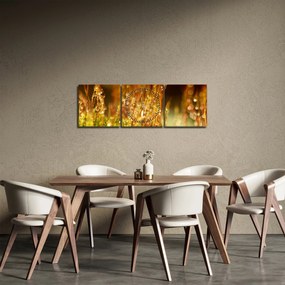 Tablou - Detaliu rouă (cu ceas) (90x30 cm)