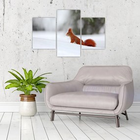 Tablou - Vevetițe (90x60 cm)