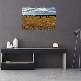 Tablou cu câmp recoltat (90x60 cm)