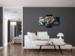 Tablou - Tigrul Siberian (90x60 cm)