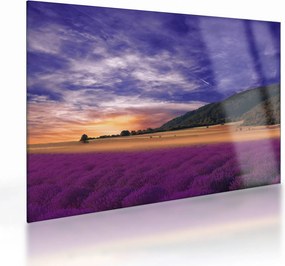 Tablou pe sticlă cu lunca cu lavandă (70x50 cm)