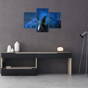 Tablou - Porumbel încoronat (90x60 cm)