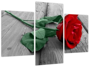 Tablou - Trandafir roșu cu tulpină verde (90x60 cm)