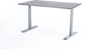 Birou reglabil electric Viva Upgrade 2.0, dual motor, 120 kg - 1600x800x25 - Logan - Gri