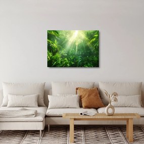 Tablou pe sticlă - Pădurea tropicală (70x50 cm)