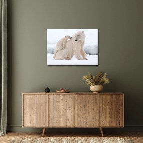 Tablou - Urs polar (70x50 cm)