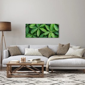 Tablou - Frunze cu picături de rouă (120x50 cm)