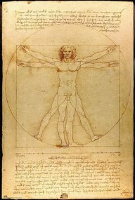 Poster Omul vitruvian, Leonardo Da Vinci