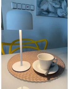 Lampă LED solară dimabilă de exterior Immax 08497L LED/4W/5V 3600mAh IP44