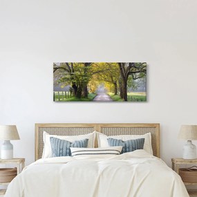Tablou - Smoky Mountains, Gatlinburg, SUA (120x50 cm)